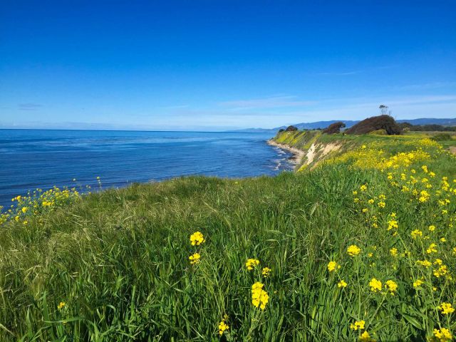 Can philosophy of science help science progress faster?